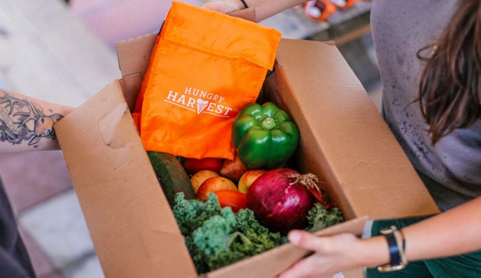 a-girl-carrying-her-groceries-from-a-farmers-market