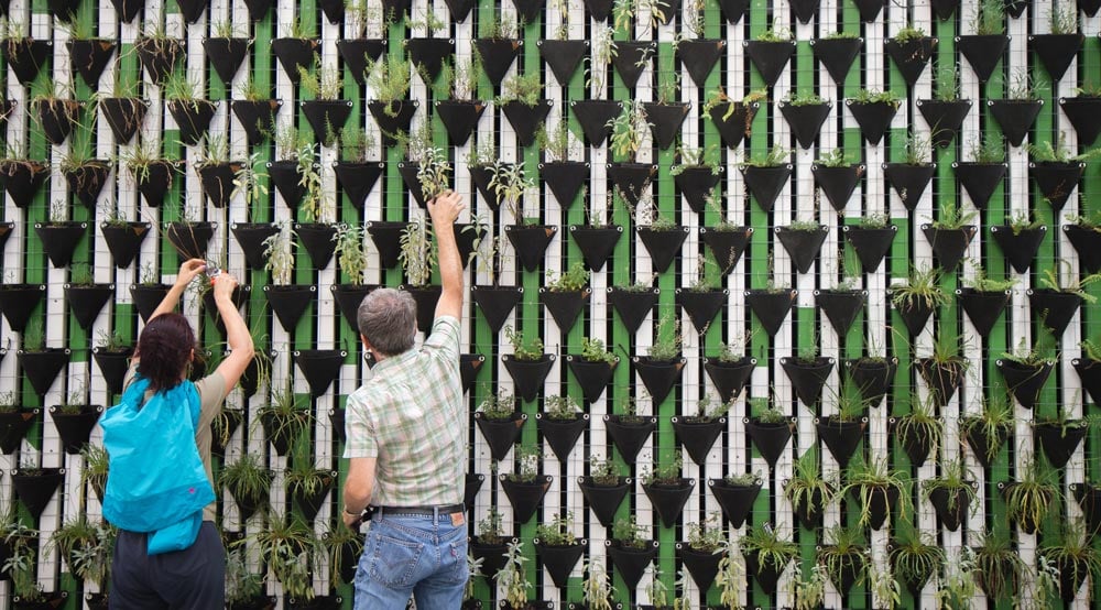 a-green-wall