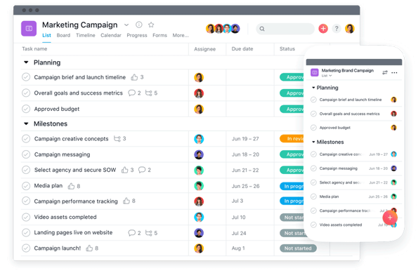 Asana platform for team organization