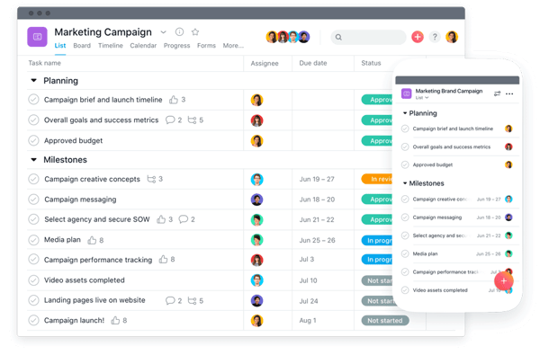 asana platform for communication