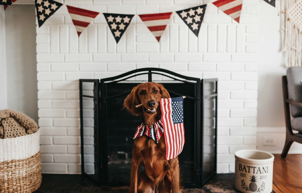 fourth-of-july-dog