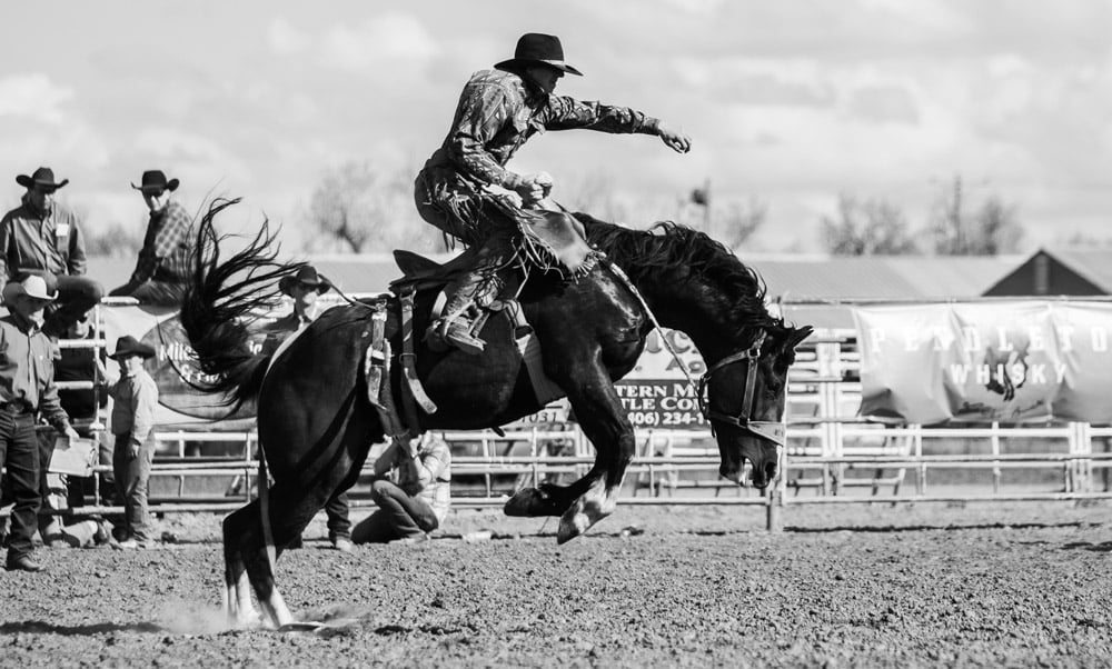 rodeo-graphic